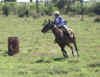 Georgia barrell racing.