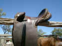 Australian stock saddle.