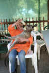 Feeding the kangaroo