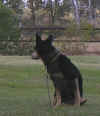 Stubbby