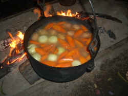 Pot of Veges